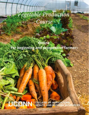 Vegetable IPM Program | Integrated Pest Management