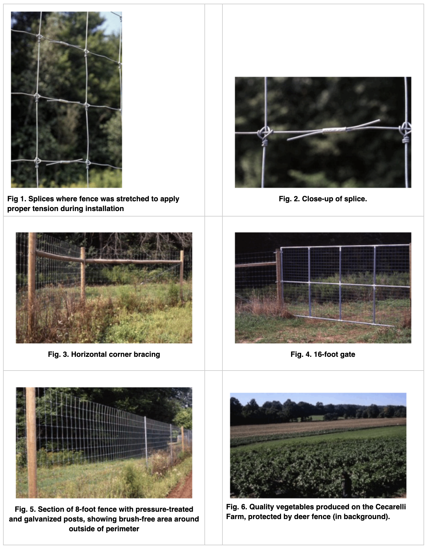 5 Different Types of Deer Fencing and How to Choose One