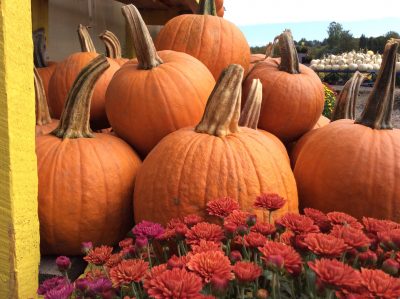 pumpkins at a farm stand
