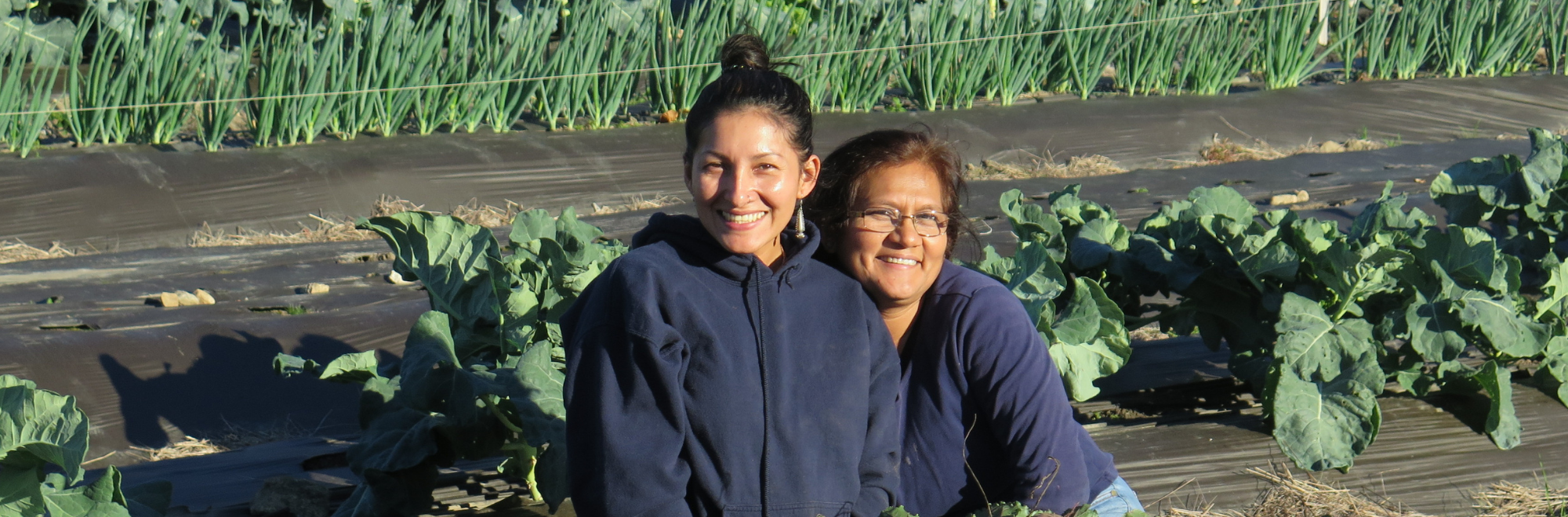 two women sitting in vegetable field on a farm