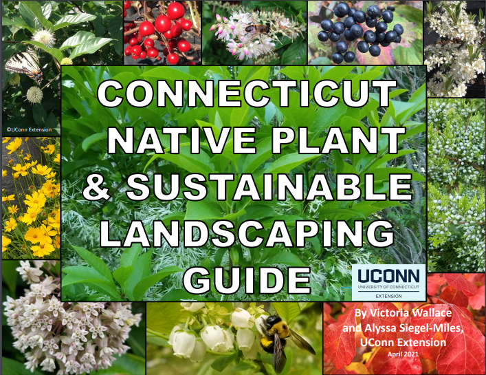 Cover of Native Plant Guide