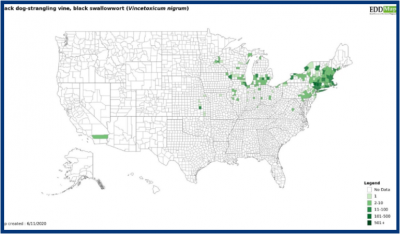 Garlic mustard distribution map: concentrations in Northeast and one part of Southern California 