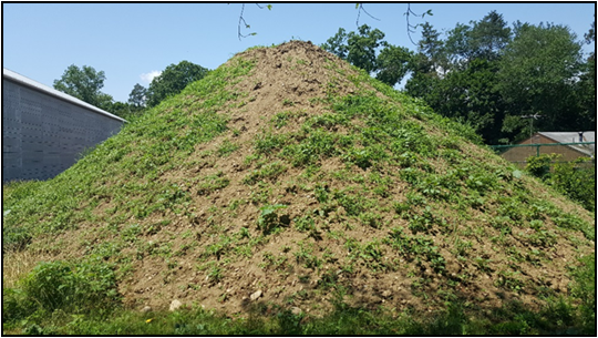 Pile of soil with weeds growing on top.