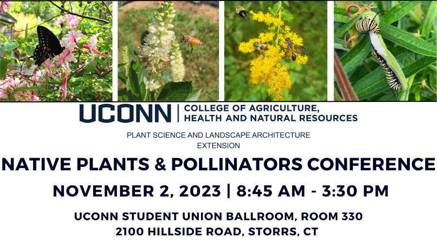 UConn Native Plants and Pollinators Conference, November 2, 2023
