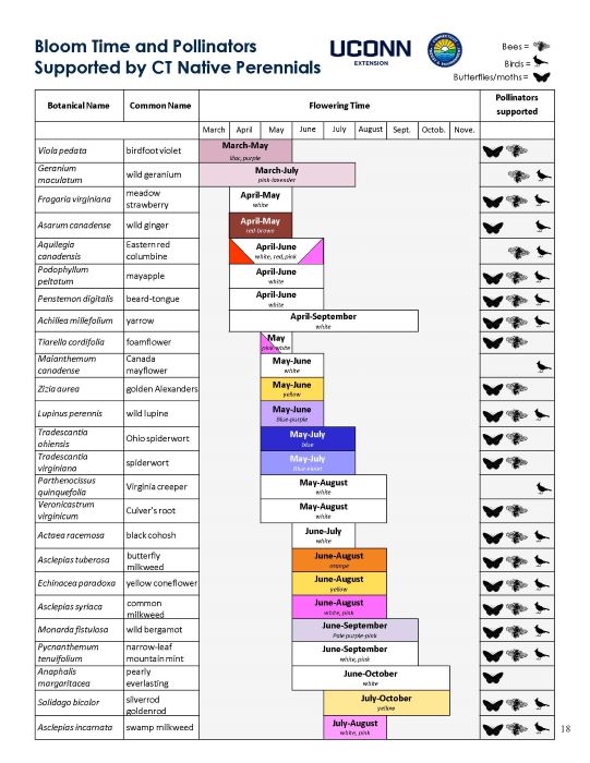 Information on Bloom Time and Pollinators Supported by CT Native Perennials. Full page available in pdf linked in image.