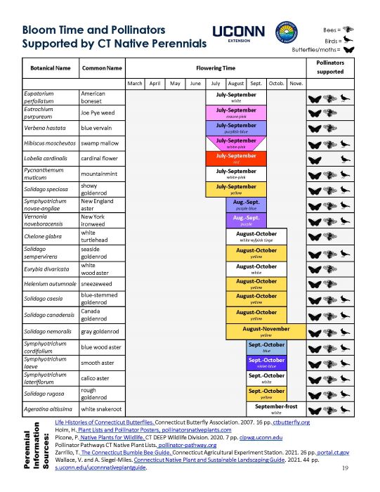 Information on Bloom Time and Pollinators Supported by CT Native Perennials. Full page available in pdf linked in image.